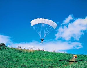 パラグライダー、ハンググライダー